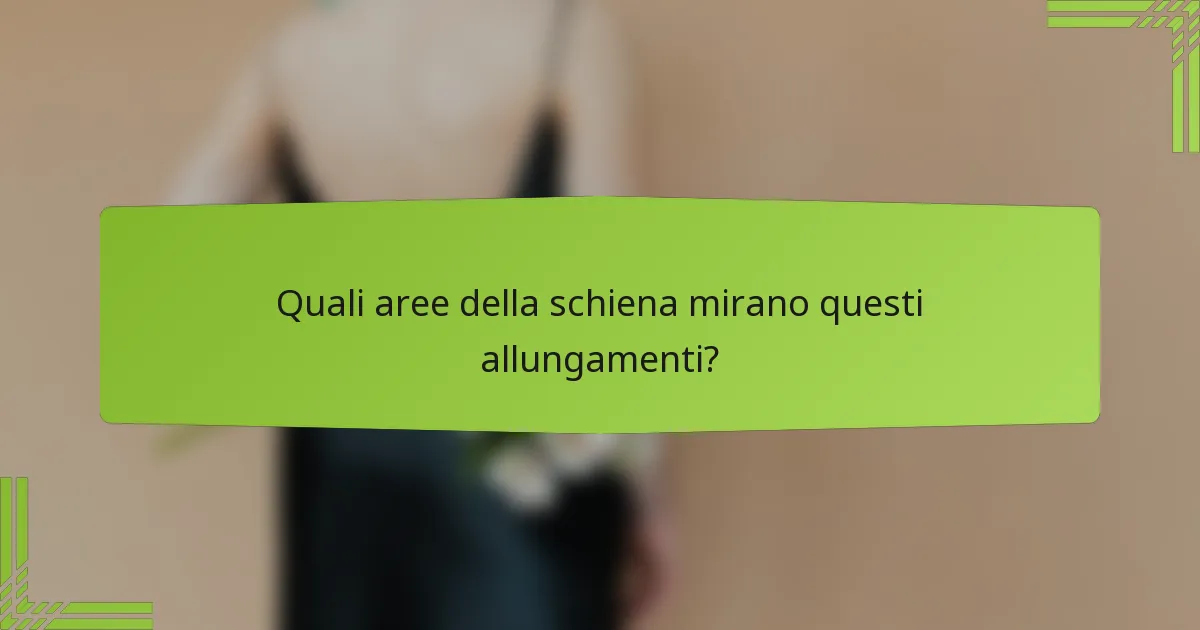 Quali aree della schiena mirano questi allungamenti?