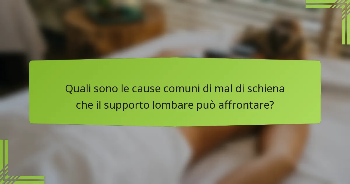 Quali sono le cause comuni di mal di schiena che il supporto lombare può affrontare?